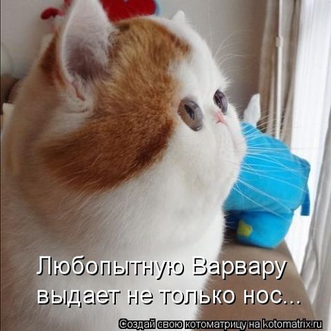 http://gbutler.ru/forum/download/file.php?id=10417