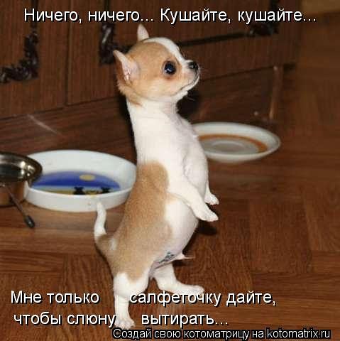 http://gbutler.ru/forum/download/file.php?id=10422