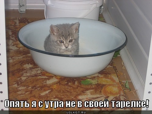 http://gbutler.ru/forum/download/file.php?id=10579