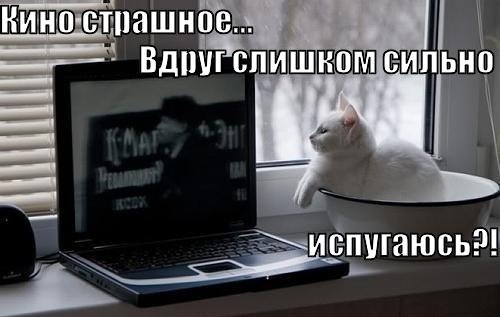 http://gbutler.ru/forum/download/file.php?id=11317