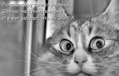 http://gbutler.ru/forum/download/file.php?id=11434&amp;t=1