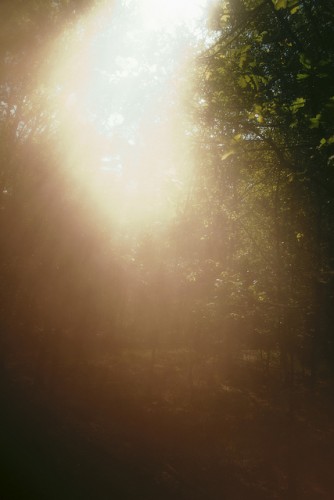 tumblr_m68mjn58gf1qiki21o1_500.jpg