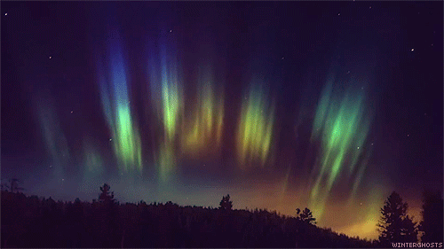 tumblr_lquwxtJbZg1qcu8zqo1_500.gif