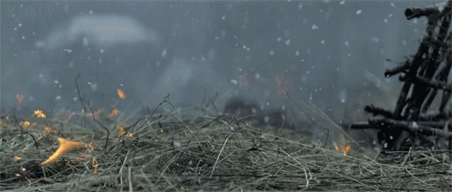 tumblr_m41lslhFYp1qa51bbo1_500.gif