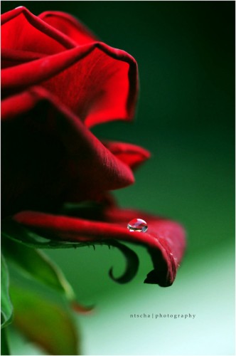 tumblr_m7mh97j6go1r2zs3eo1_1280.jpg