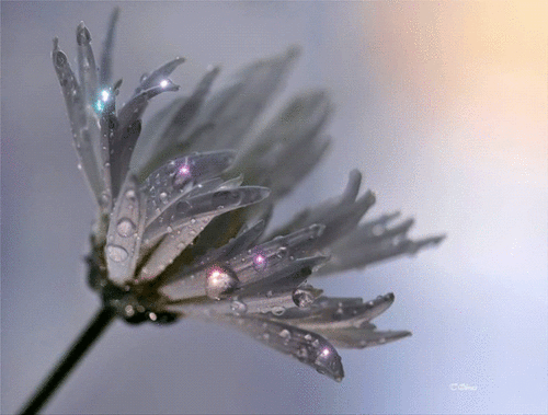 tumblr_m4f2z4BFms1qgynxpo1_500.gif
