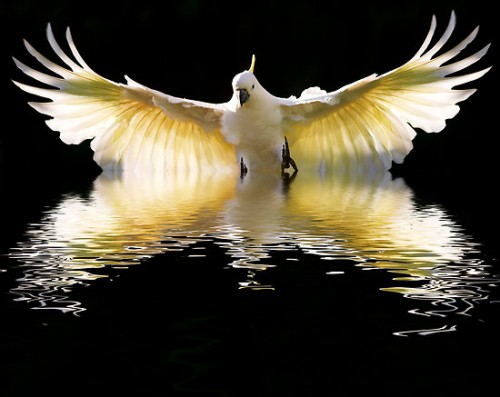 tumblr_m75f0dvCtz1ry9a98o1_1280.jpg