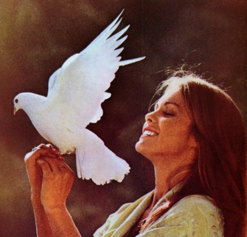 tumblr_m7pnk9eeD91qbsrwpo1_500.jpg