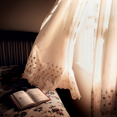 tumblr_m395raLP3c1r7fsa9o1_500.jpg