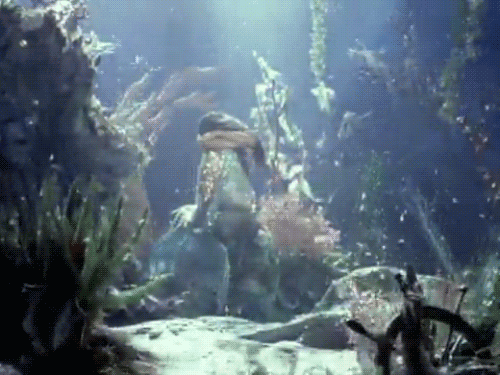 tumblr_m7okk5Ko0C1qccavfo1_500.gif