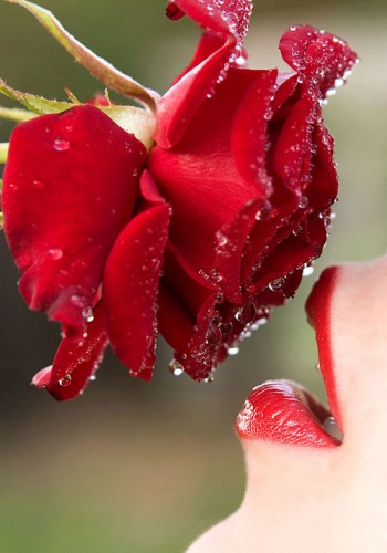 tumblr_m1kx08Gs461qbxu05o1_500.jpg