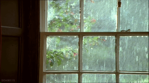 tumblr_m7xuvoIJJw1r0o7uao1_500.gif