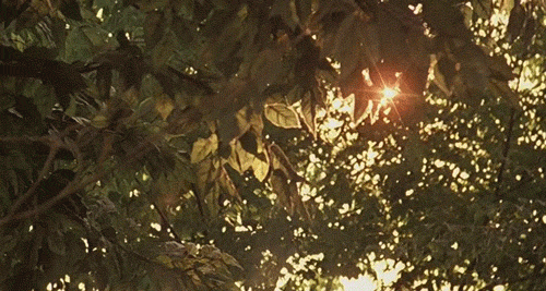 tumblr_ln7ougGLev1qc5o6qo1_500.gif