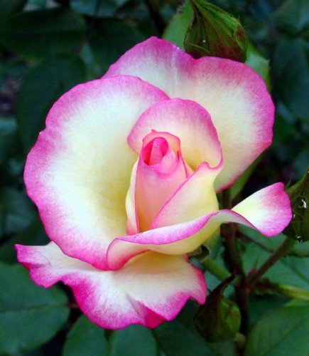 tumblr_lwx63w6TR41qdzpbco1_1280.jpg