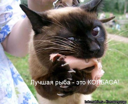 http://gbutler.ru/forum/download/file.php?id=15269&amp;t=1&amp;sid=195e3165e3510a338c401cba399bdf13