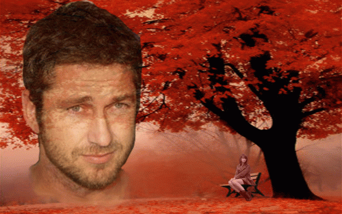 Без-имени-90999.gif