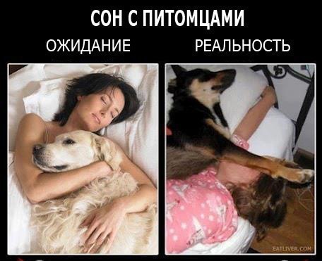 http://gbutler.ru/forum/download/file.php?id=15681