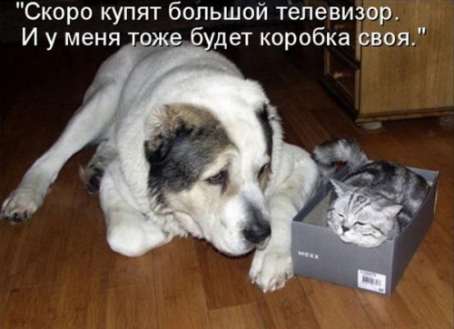 http://gbutler.ru/forum/download/file.php?id=15682&amp;t=1