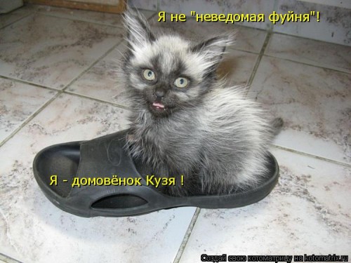 http://gbutler.ru/forum/download/file.php?id=15845&amp;t=1