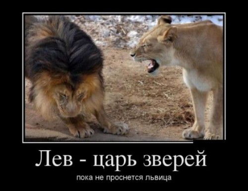 http://gbutler.ru/forum/download/file.php?id=15907&amp;t=1