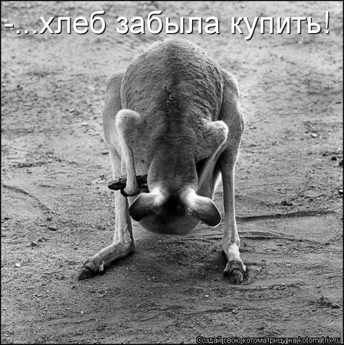 http://gbutler.ru/forum/download/file.php?id=15924&amp;t=1