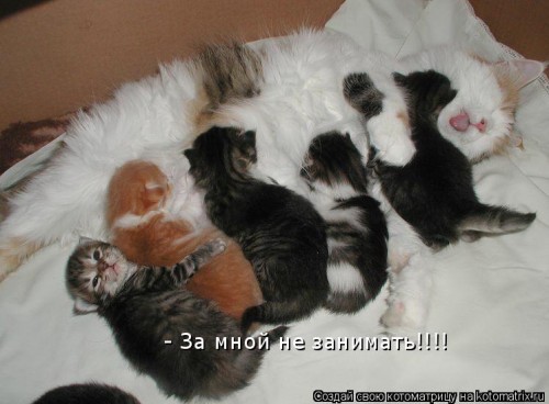 http://gbutler.ru/forum/download/file.php?id=15929&amp;t=1