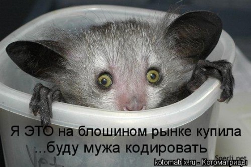 http://gbutler.ru/forum/download/file.php?id=16099&amp;t=1