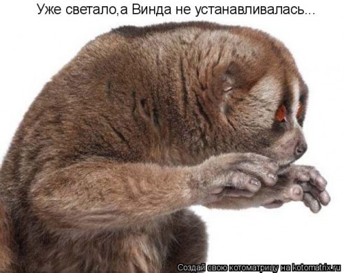 691456.jpg