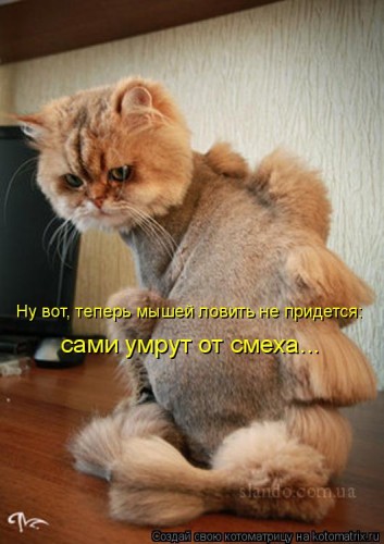 http://gbutler.ru/forum/download/file.php?id=16128&amp;t=1