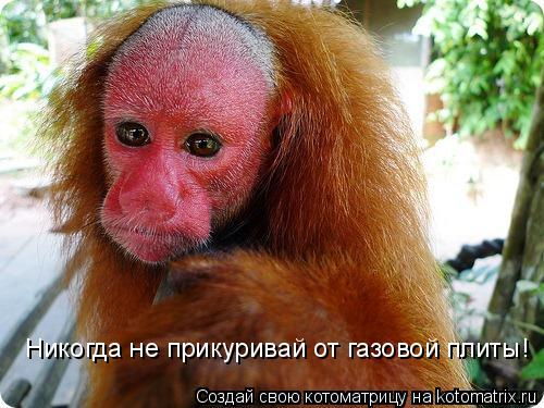 http://gbutler.ru/forum/download/file.php?id=16200