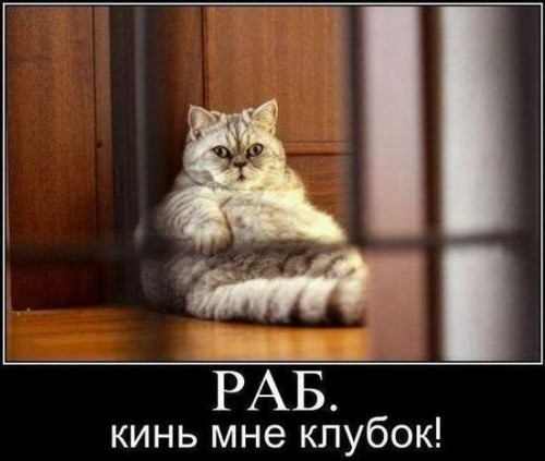 http://gbutler.ru/forum/download/file.php?id=16206&amp;t=1