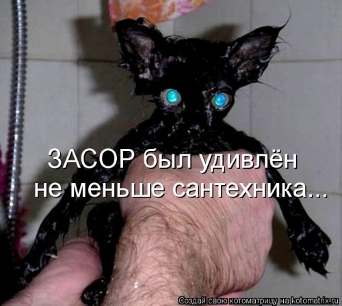 http://gbutler.ru/forum/download/file.php?id=16319&amp;t=1&amp;sid=4931fc8690b325c090221acb4464f2ca