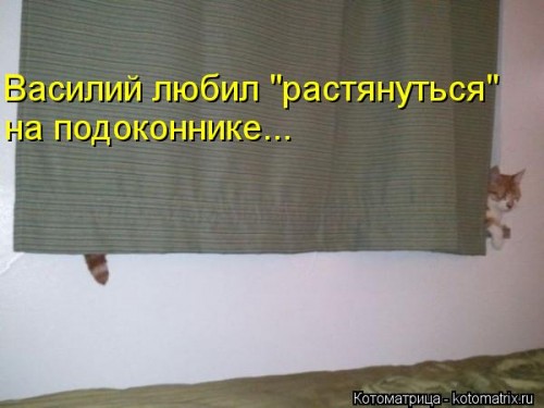 http://gbutler.ru/forum/download/file.php?id=16358&amp;t=1&amp;sid=4931fc8690b325c090221acb4464f2ca