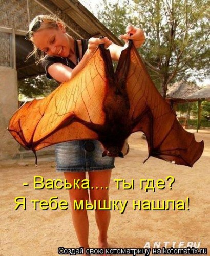 http://gbutler.ru/forum/download/file.php?id=16365&amp;t=1&amp;sid=4931fc8690b325c090221acb4464f2ca
