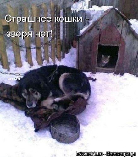http://gbutler.ru/forum/download/file.php?id=16643&amp;t=1&amp;sid=a3cef8d70a255132352470b00cc4b1f9