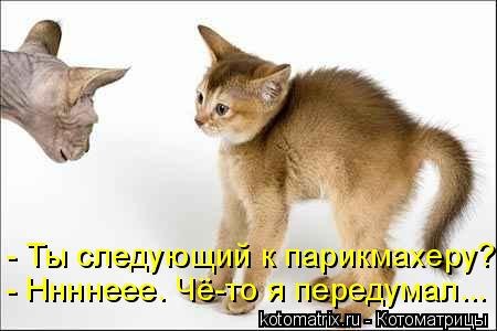 http://gbutler.ru/forum/download/file.php?id=16650&amp;sid=a3cef8d70a255132352470b00cc4b1f9