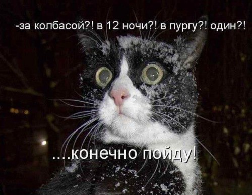 http://gbutler.ru/forum/download/file.php?id=17984&amp;t=1&amp;sid=fe8dcf8d7fe020562778293a007fb4b4