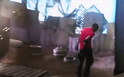 tumblr_mazni3zyDg1r4ls20o4_r1_250.gif