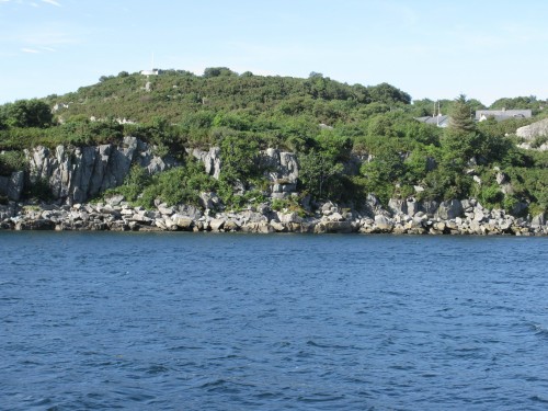 IMG_6004.JPG