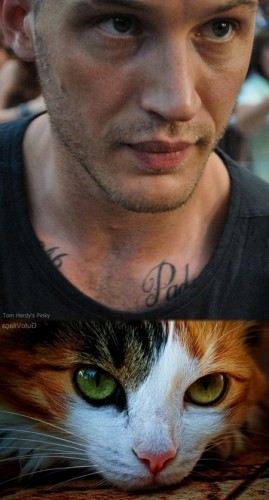 tumblr_lezo15eyZ81qd9vcjo1_r1_1280.jpg