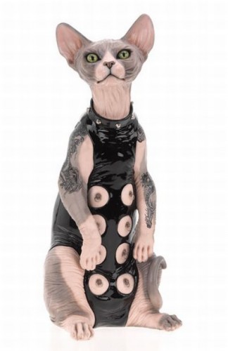 bdsm_cats_06.jpg