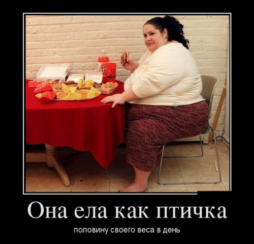 demotivatory_17.jpg