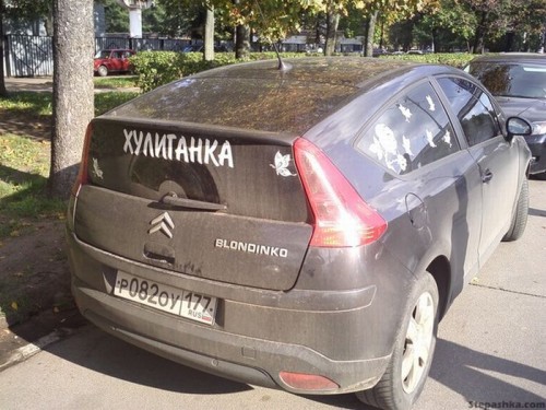 396586666668666podborka_74.jpg