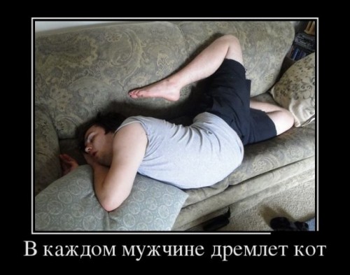 demotivatory_02.jpg