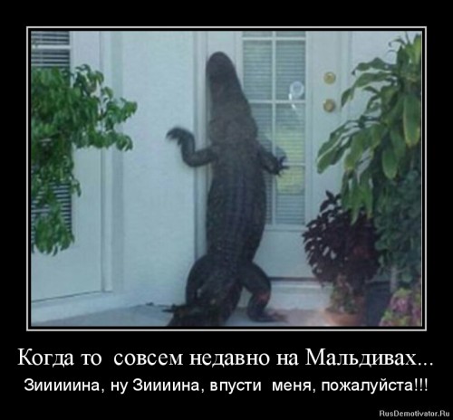 image_2dfe6442782df69d52e19a792557f24a.jpeg