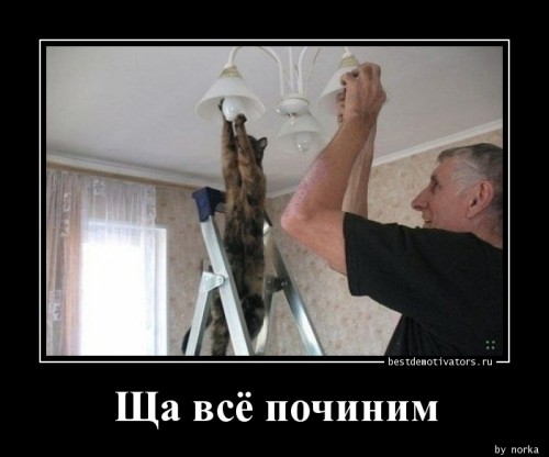 1374127992_Scha-vse-pochinim_bestdemotivators.ru.jpg