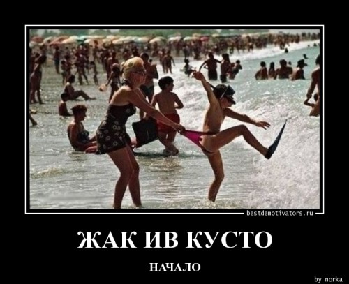 1375942816_ZhAK-IV-KUSTO_bestdemotivators.ru.jpg
