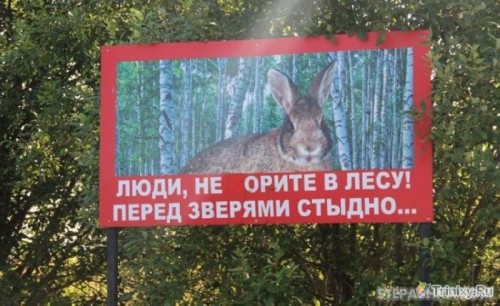 177645000002000marazm_14.jpg