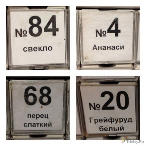 177645000002000marazm_27.jpg
