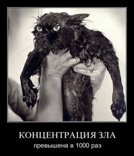 1317498928_demmm-015.jpg